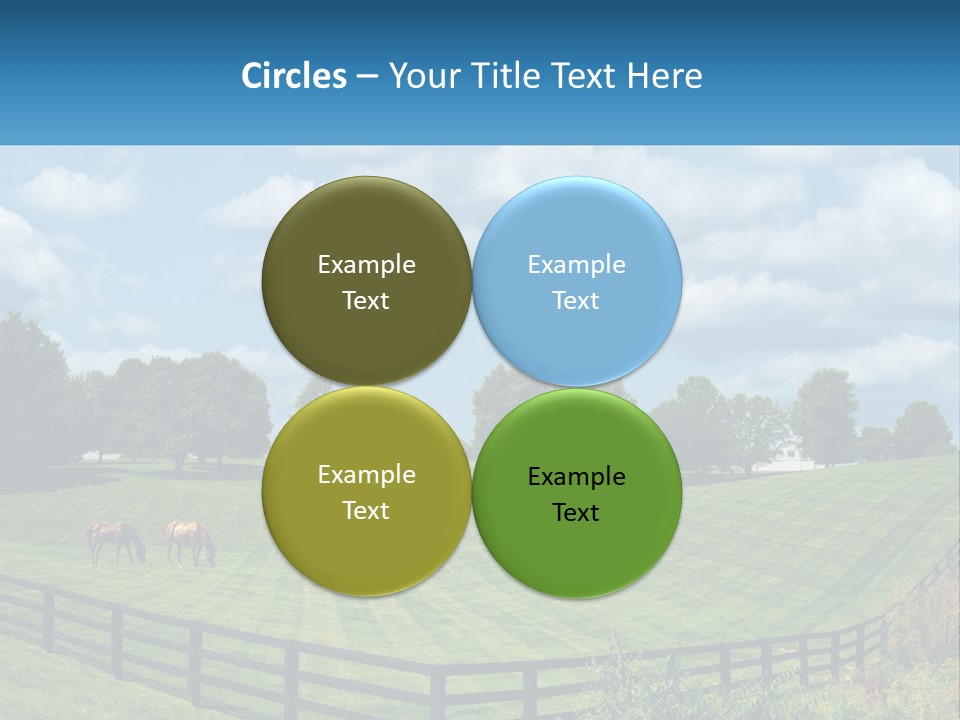 Two Horses Grazing In A Field With A House In The Background PowerPoint Template