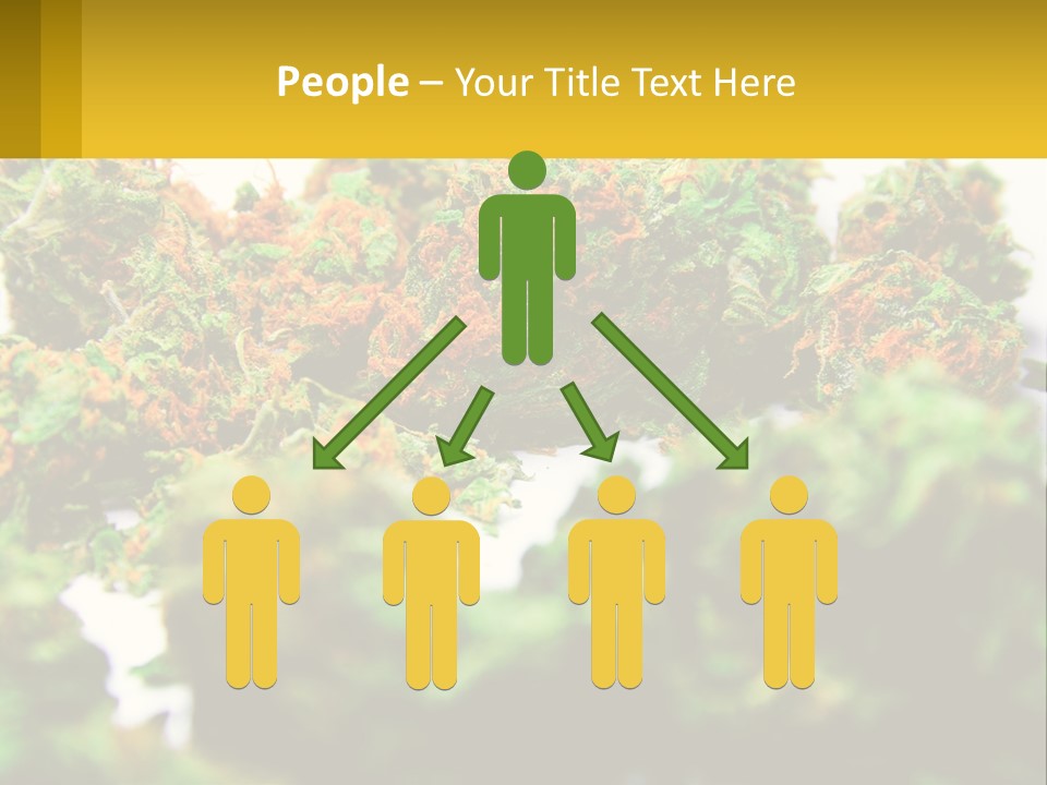 A Pile Of Green Weed Sitting On Top Of A Table PowerPoint Template
