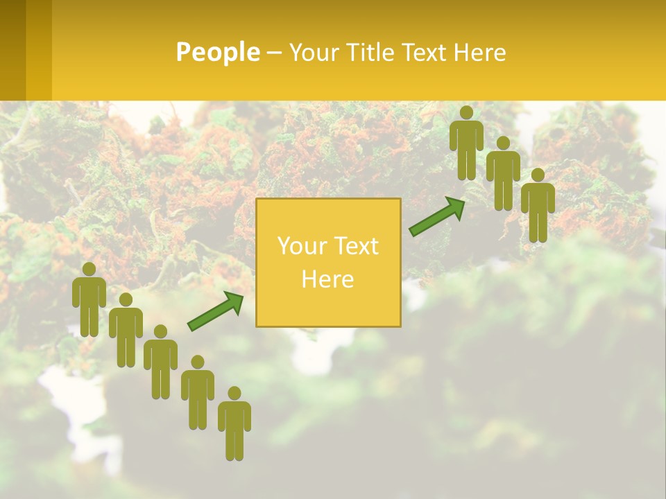 A Pile Of Green Weed Sitting On Top Of A Table PowerPoint Template