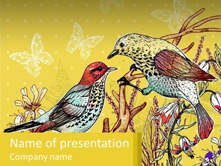A Couple Of Birds Sitting On Top Of A Tree PowerPoint Template