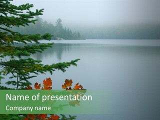 A Lake Surrounded By Trees With Fog In The Background PowerPoint Template