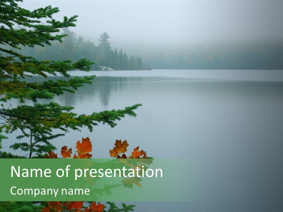 A Lake Surrounded By Trees With Fog In The Background PowerPoint Template