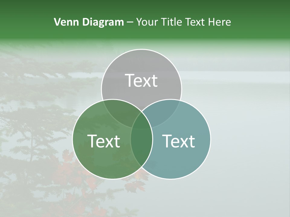 A Lake Surrounded By Trees With Fog In The Background PowerPoint Template