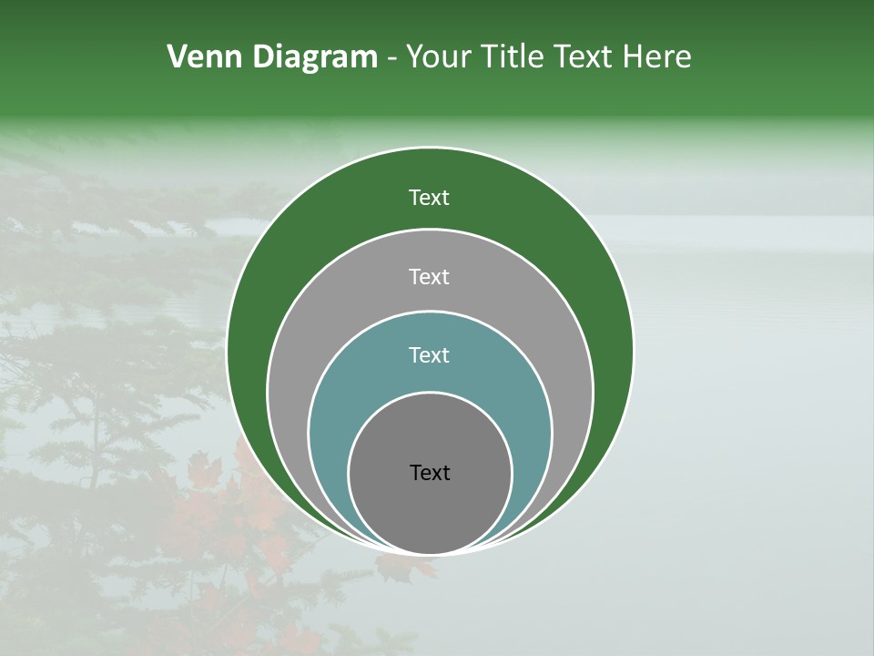 A Lake Surrounded By Trees With Fog In The Background PowerPoint Template