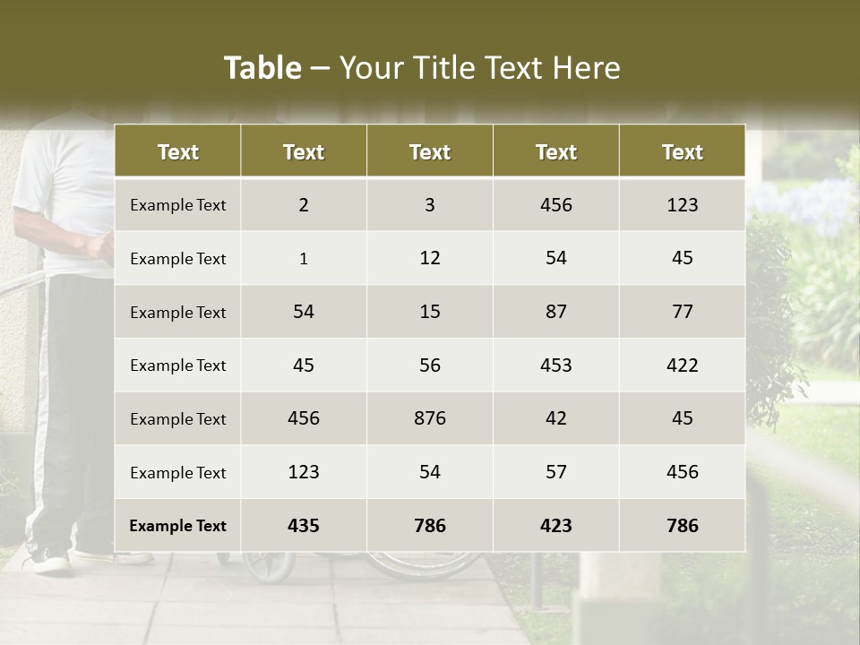 A Woman In A Wheelchair Talking To A Man In A Green Shirt PowerPoint Template