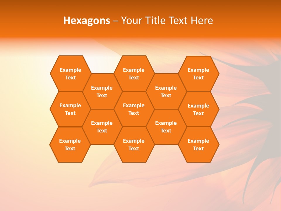 A Sunflower With The Sun In The Background PowerPoint Template