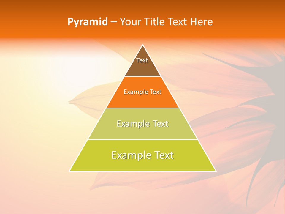 A Sunflower With The Sun In The Background PowerPoint Template
