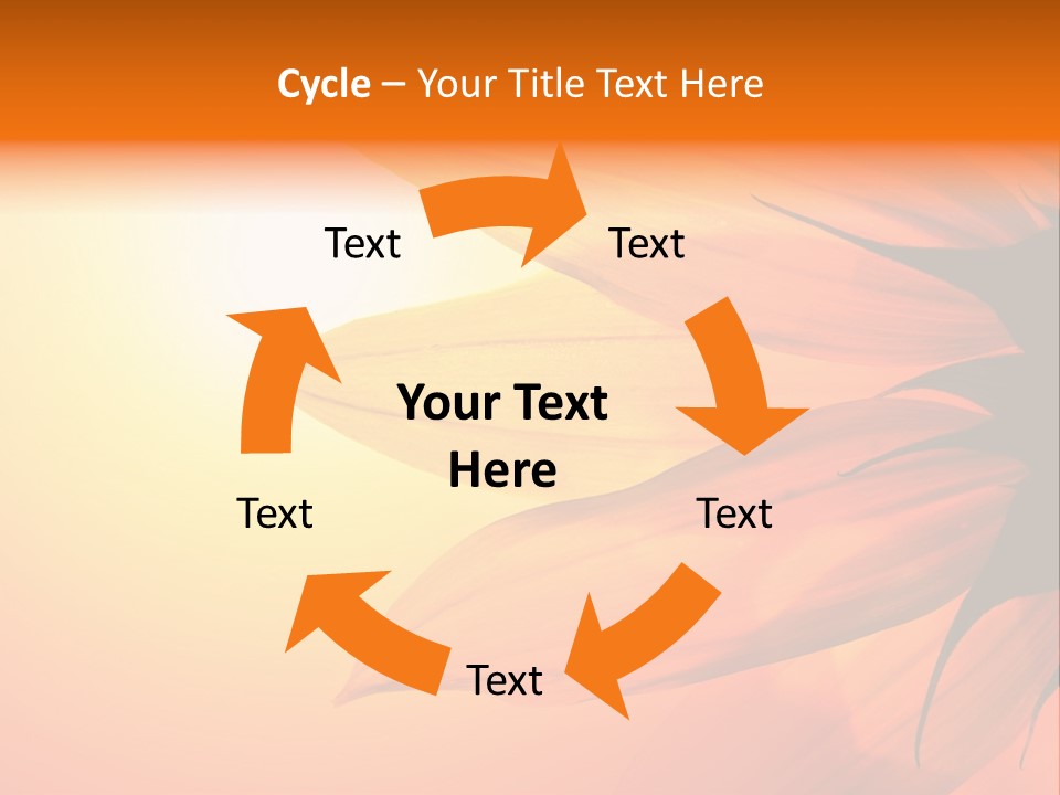 A Sunflower With The Sun In The Background PowerPoint Template