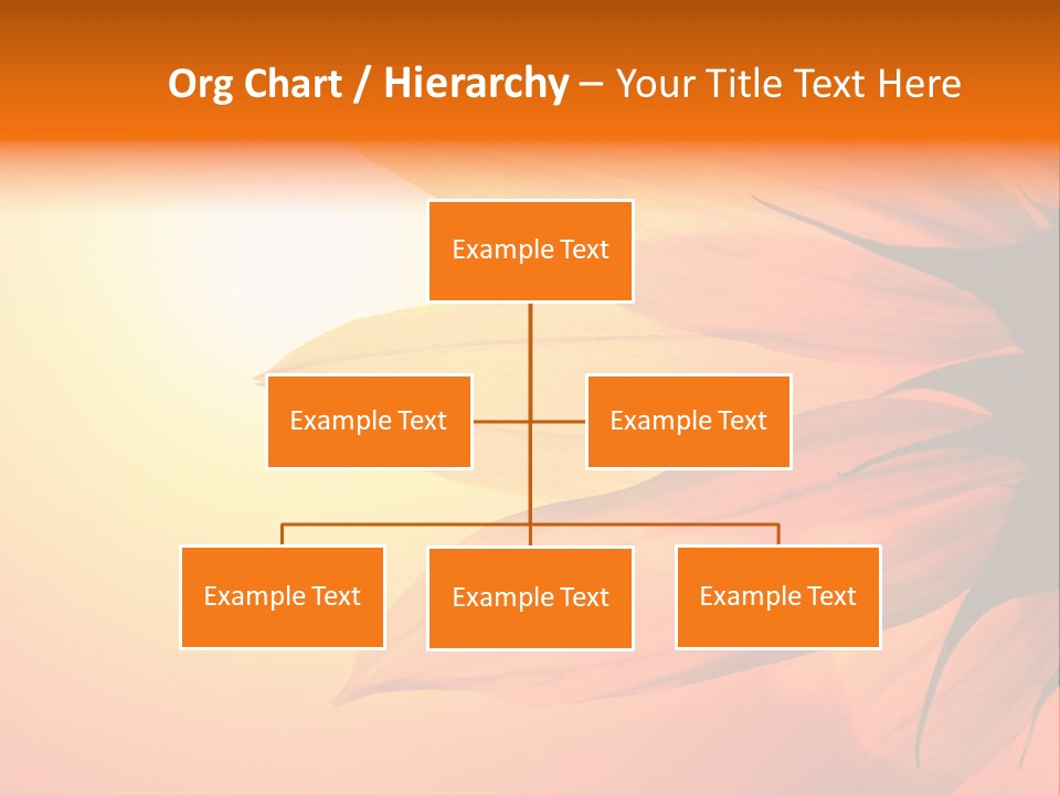 A Sunflower With The Sun In The Background PowerPoint Template