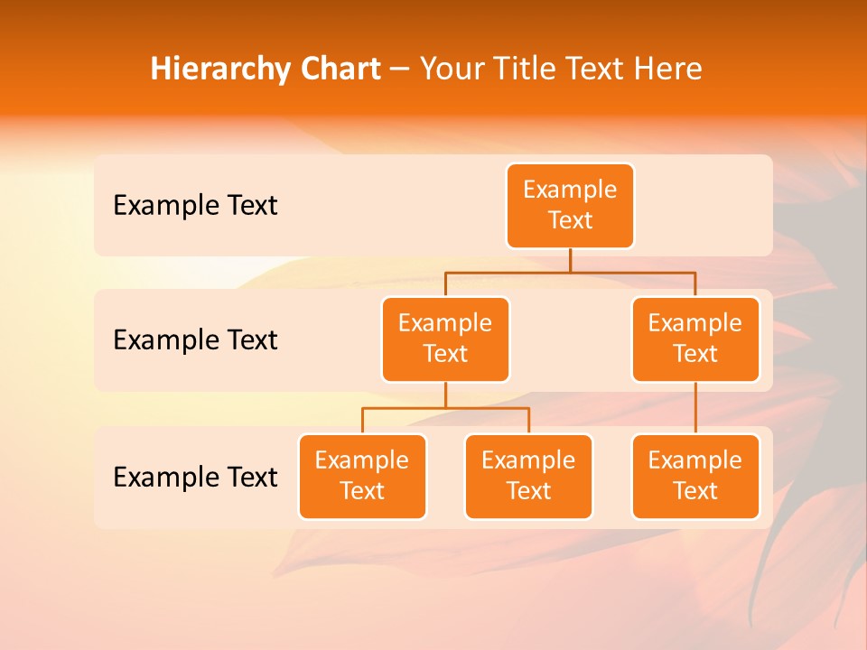 A Sunflower With The Sun In The Background PowerPoint Template