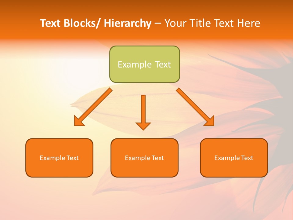 A Sunflower With The Sun In The Background PowerPoint Template