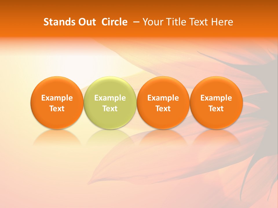 A Sunflower With The Sun In The Background PowerPoint Template