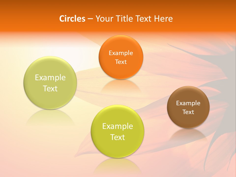 A Sunflower With The Sun In The Background PowerPoint Template