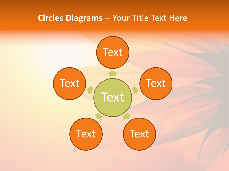 A Sunflower With The Sun In The Background PowerPoint Template