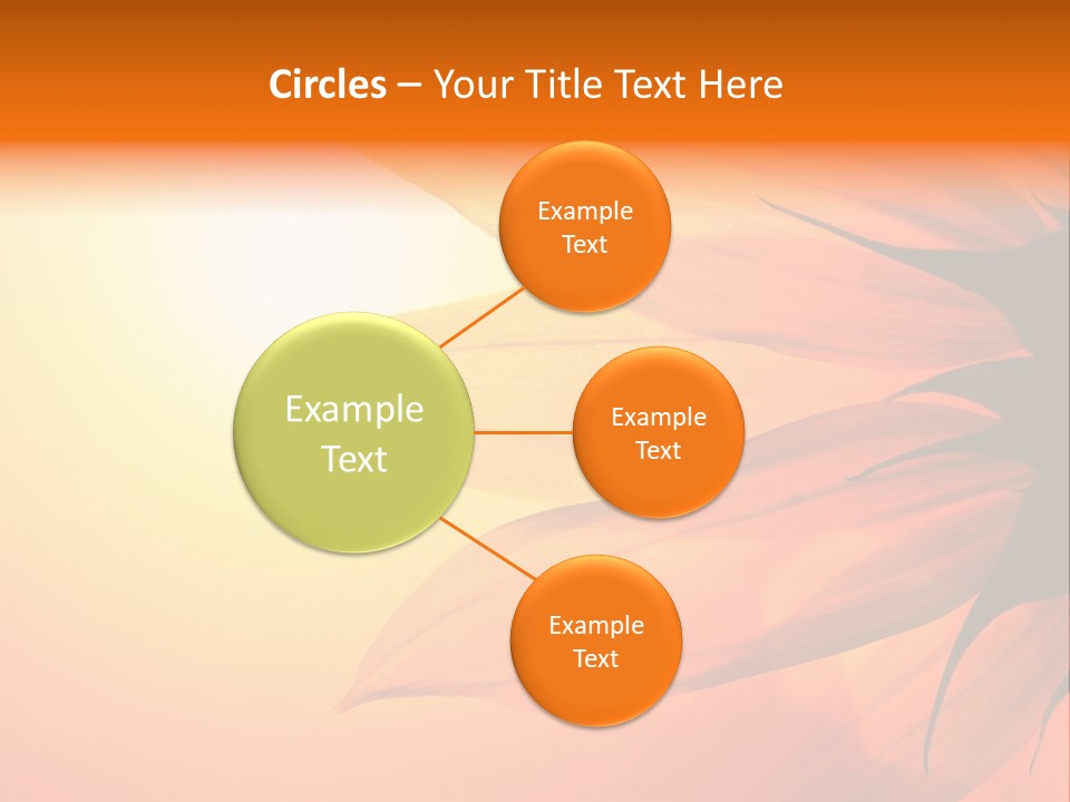 A Sunflower With The Sun In The Background PowerPoint Template