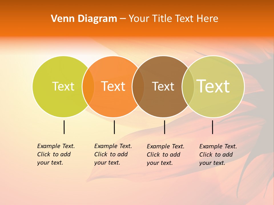 A Sunflower With The Sun In The Background PowerPoint Template