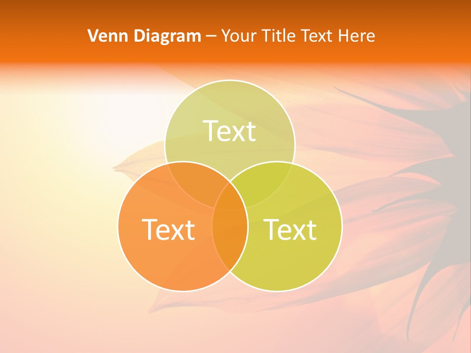 A Sunflower With The Sun In The Background PowerPoint Template