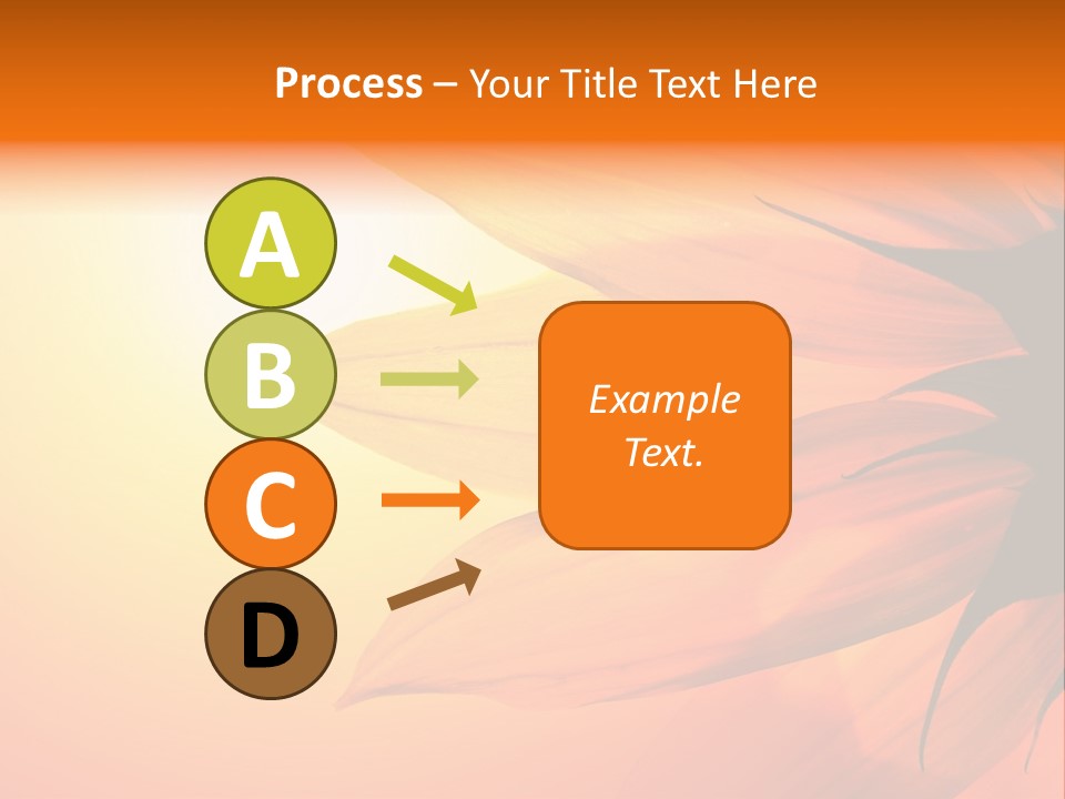 A Sunflower With The Sun In The Background PowerPoint Template