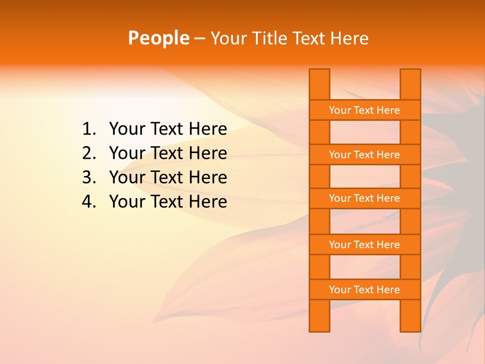 A Sunflower With The Sun In The Background PowerPoint Template