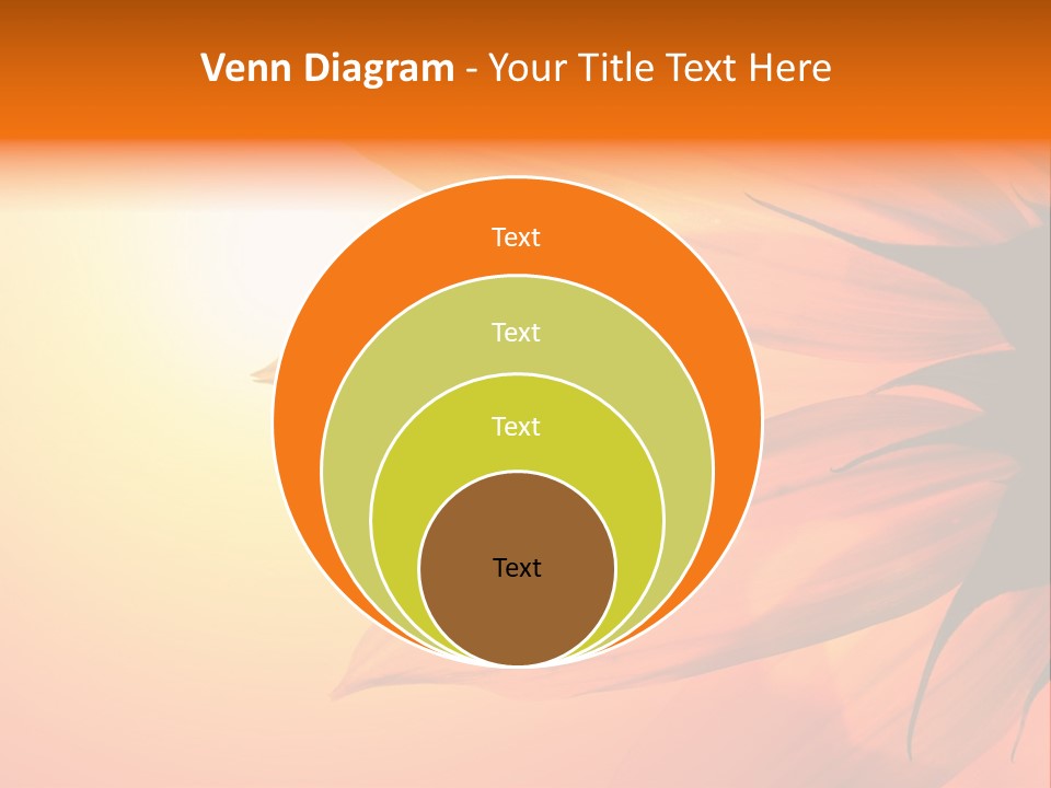 A Sunflower With The Sun In The Background PowerPoint Template