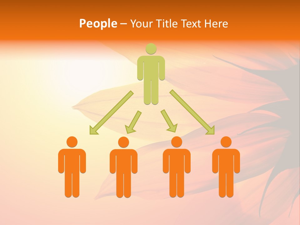 A Sunflower With The Sun In The Background PowerPoint Template