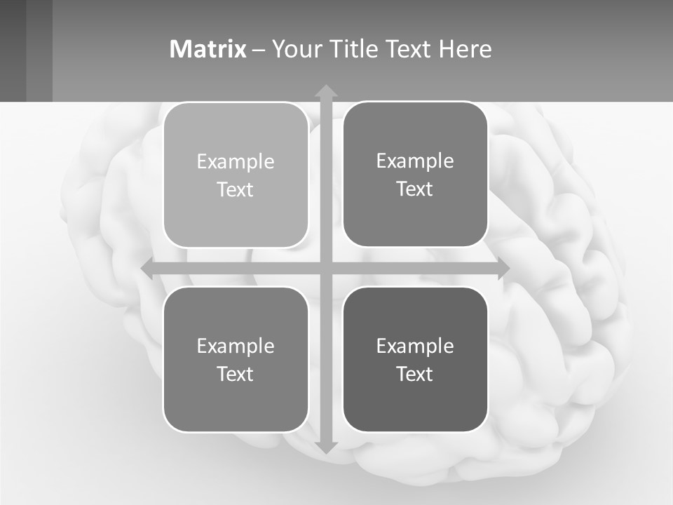 A White Brain Is Shown With A Gray Background PowerPoint Template