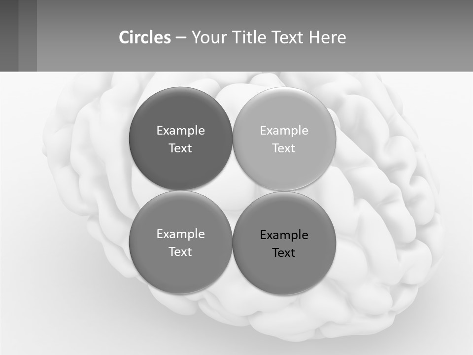 A White Brain Is Shown With A Gray Background PowerPoint Template