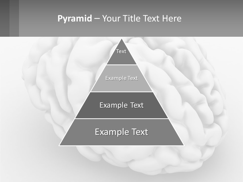 A White Brain Is Shown With A Gray Background PowerPoint Template