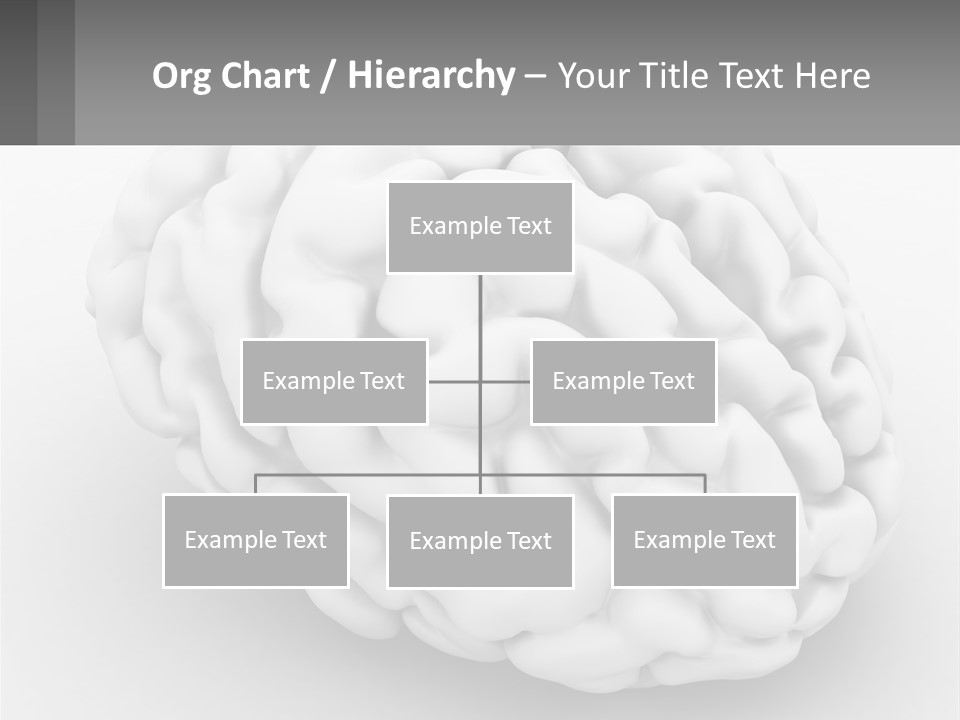 A White Brain Is Shown With A Gray Background PowerPoint Template