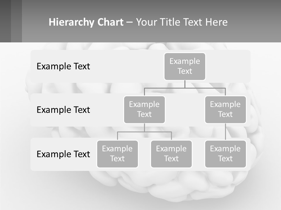 A White Brain Is Shown With A Gray Background PowerPoint Template
