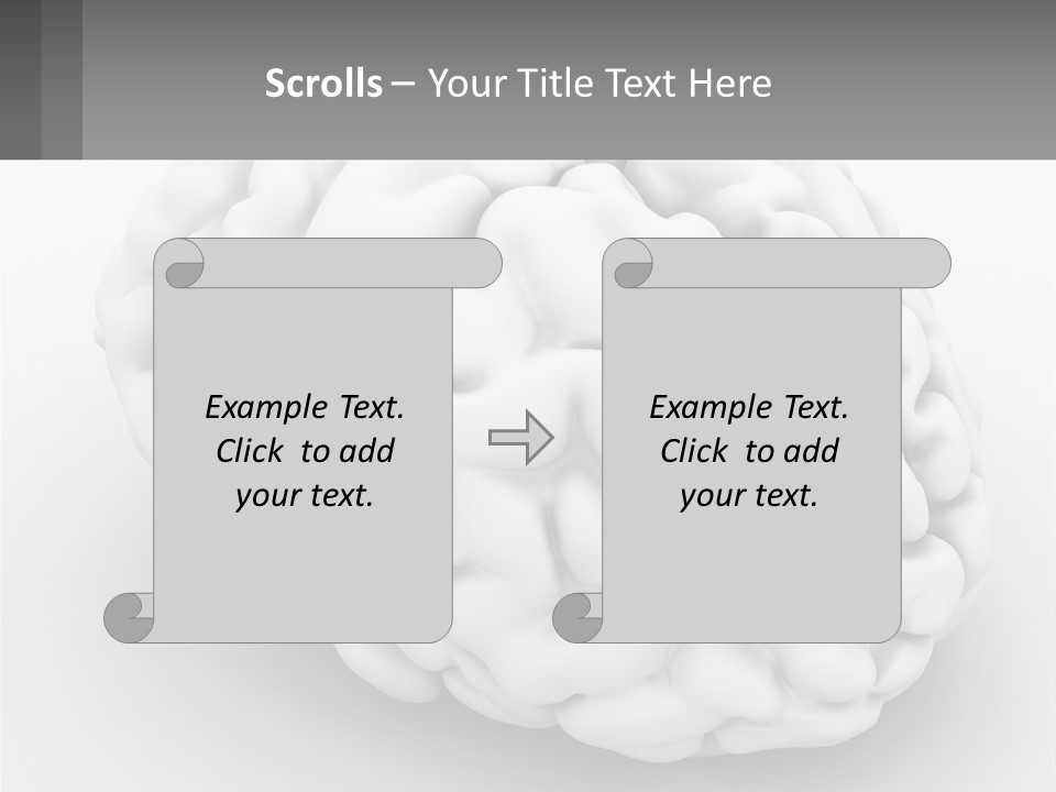 A White Brain Is Shown With A Gray Background PowerPoint Template
