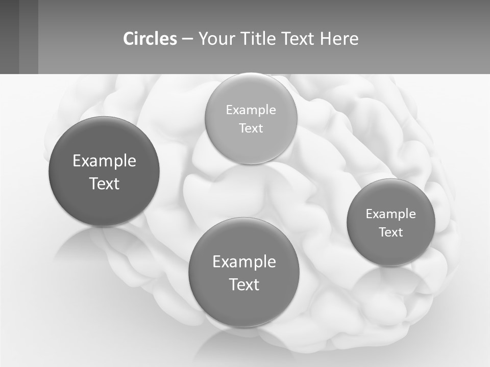 A White Brain Is Shown With A Gray Background PowerPoint Template