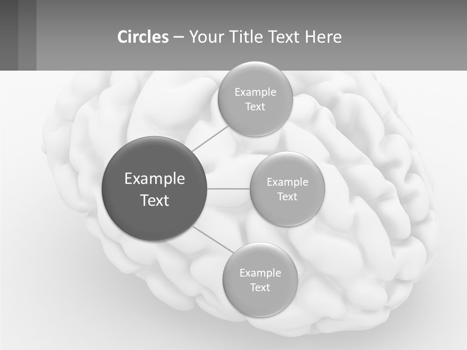 A White Brain Is Shown With A Gray Background PowerPoint Template