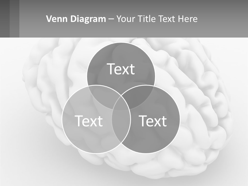 A White Brain Is Shown With A Gray Background PowerPoint Template