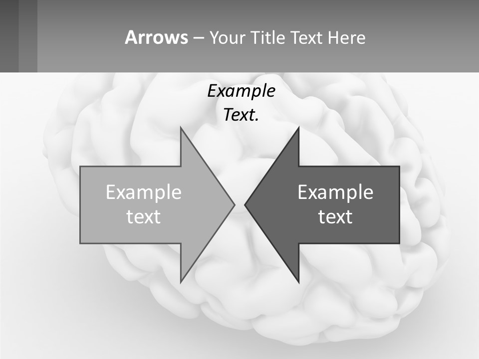 A White Brain Is Shown With A Gray Background PowerPoint Template