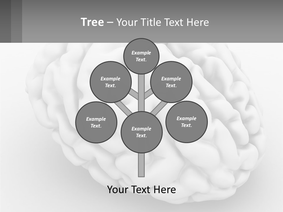 A White Brain Is Shown With A Gray Background PowerPoint Template