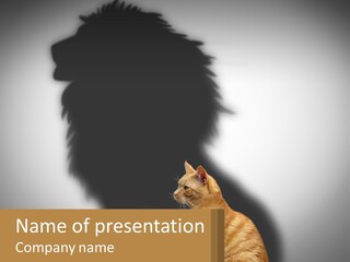 A Cat Sitting In Front Of A Shadow Of A Lion PowerPoint Template
