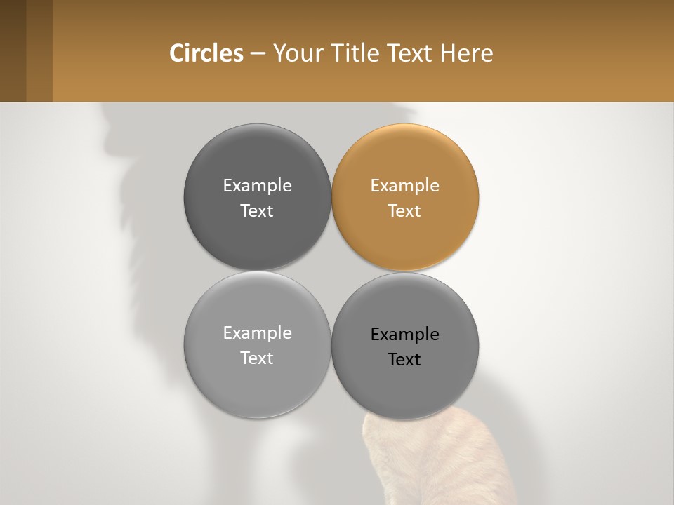 A Cat Sitting In Front Of A Shadow Of A Lion PowerPoint Template