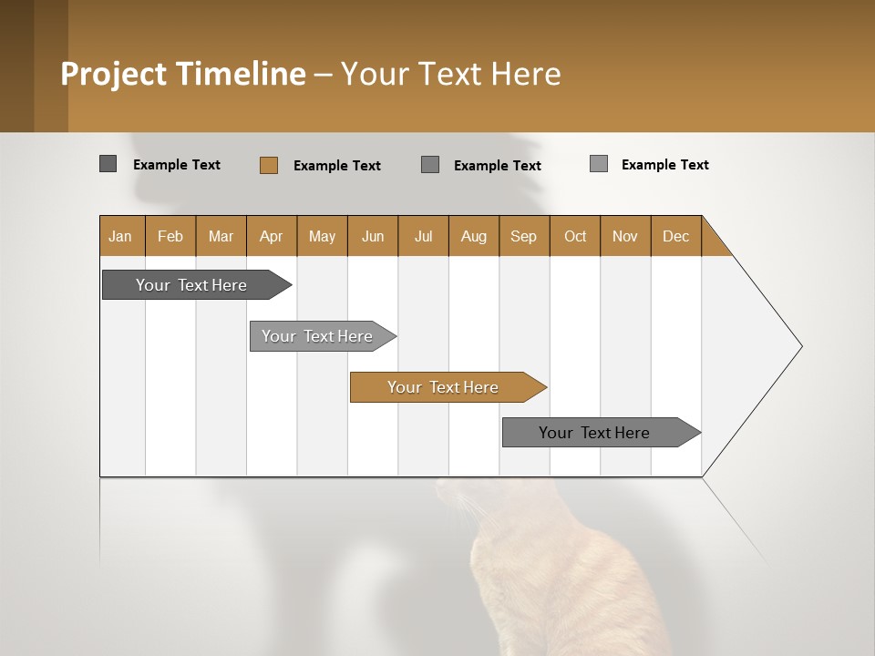 A Cat Sitting In Front Of A Shadow Of A Lion PowerPoint Template