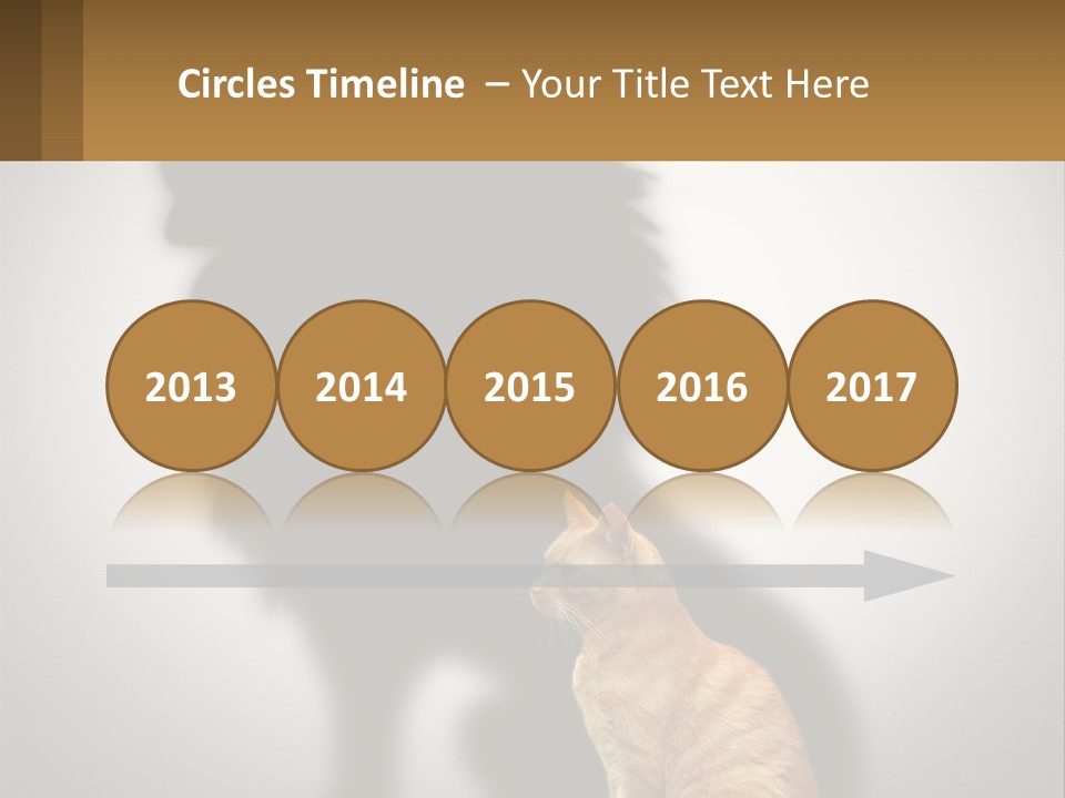 A Cat Sitting In Front Of A Shadow Of A Lion PowerPoint Template
