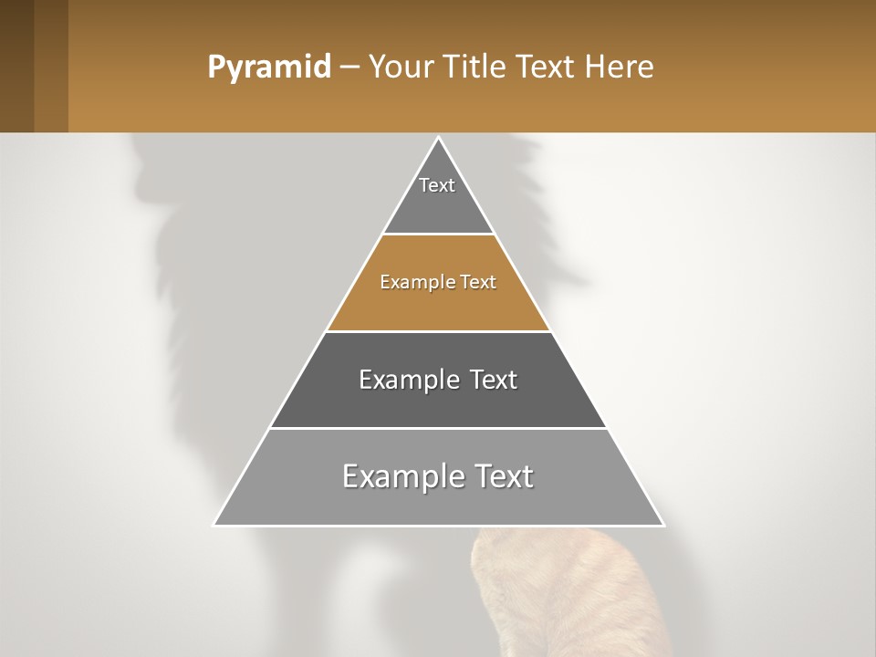A Cat Sitting In Front Of A Shadow Of A Lion PowerPoint Template