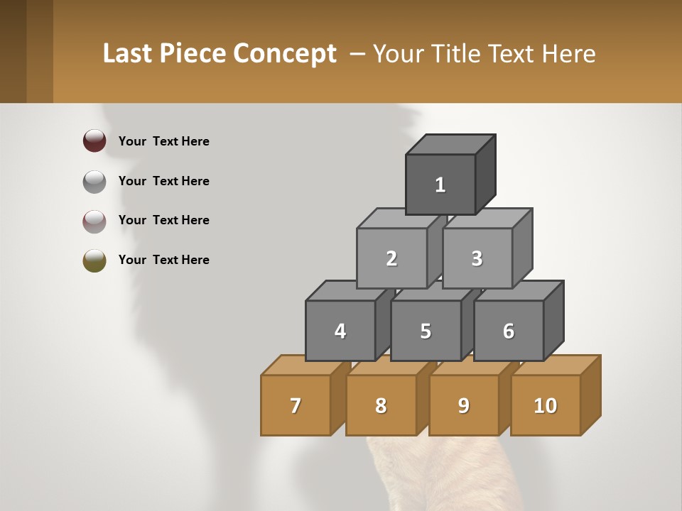 A Cat Sitting In Front Of A Shadow Of A Lion PowerPoint Template