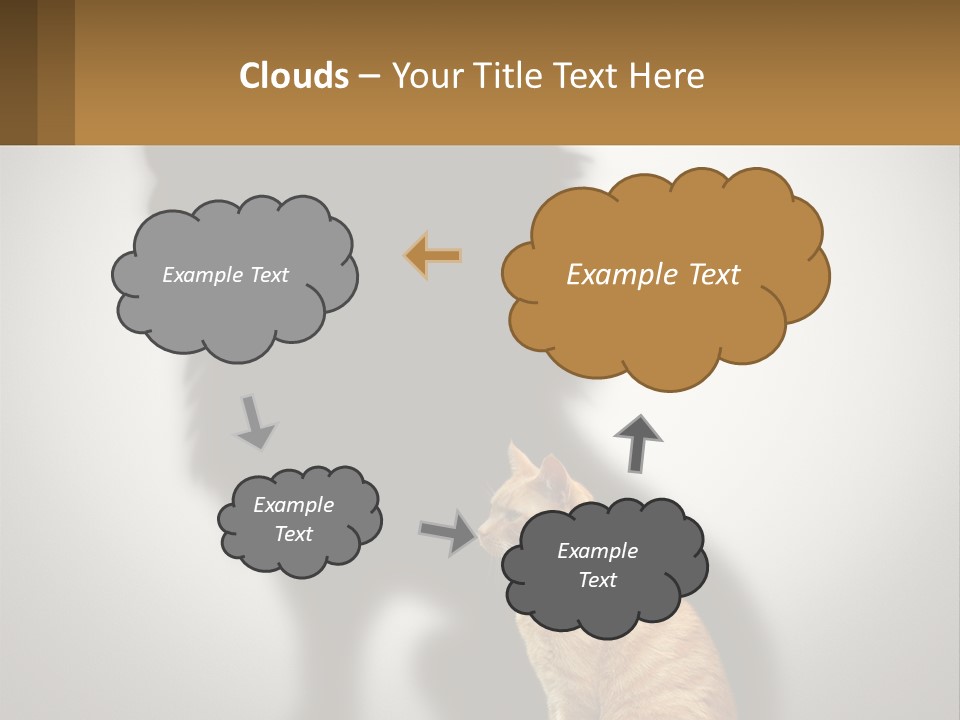 A Cat Sitting In Front Of A Shadow Of A Lion PowerPoint Template