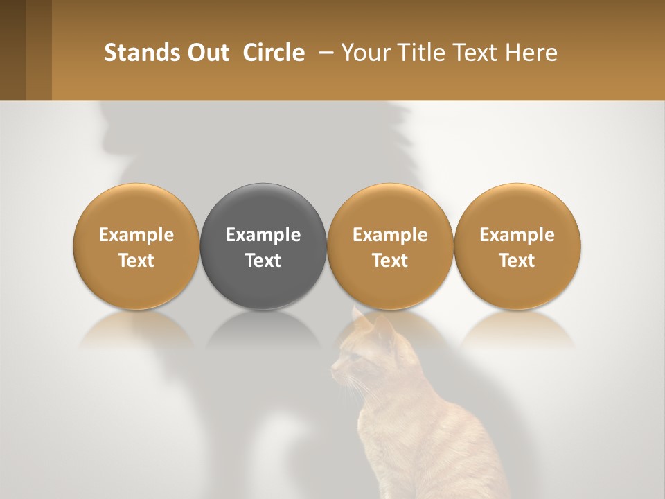 A Cat Sitting In Front Of A Shadow Of A Lion PowerPoint Template
