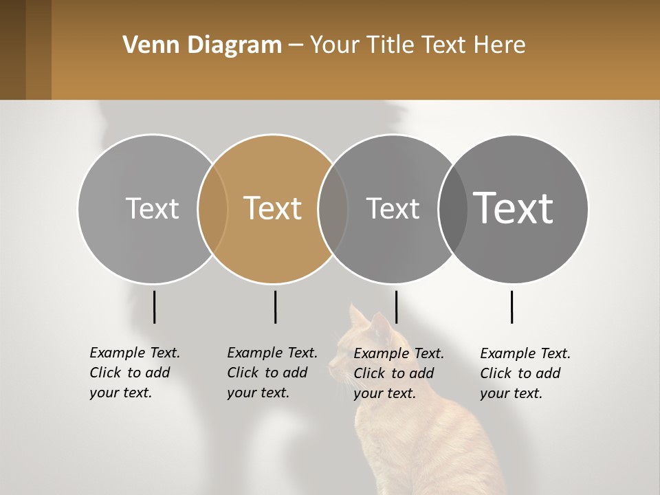 A Cat Sitting In Front Of A Shadow Of A Lion PowerPoint Template