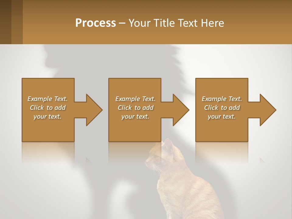 A Cat Sitting In Front Of A Shadow Of A Lion PowerPoint Template
