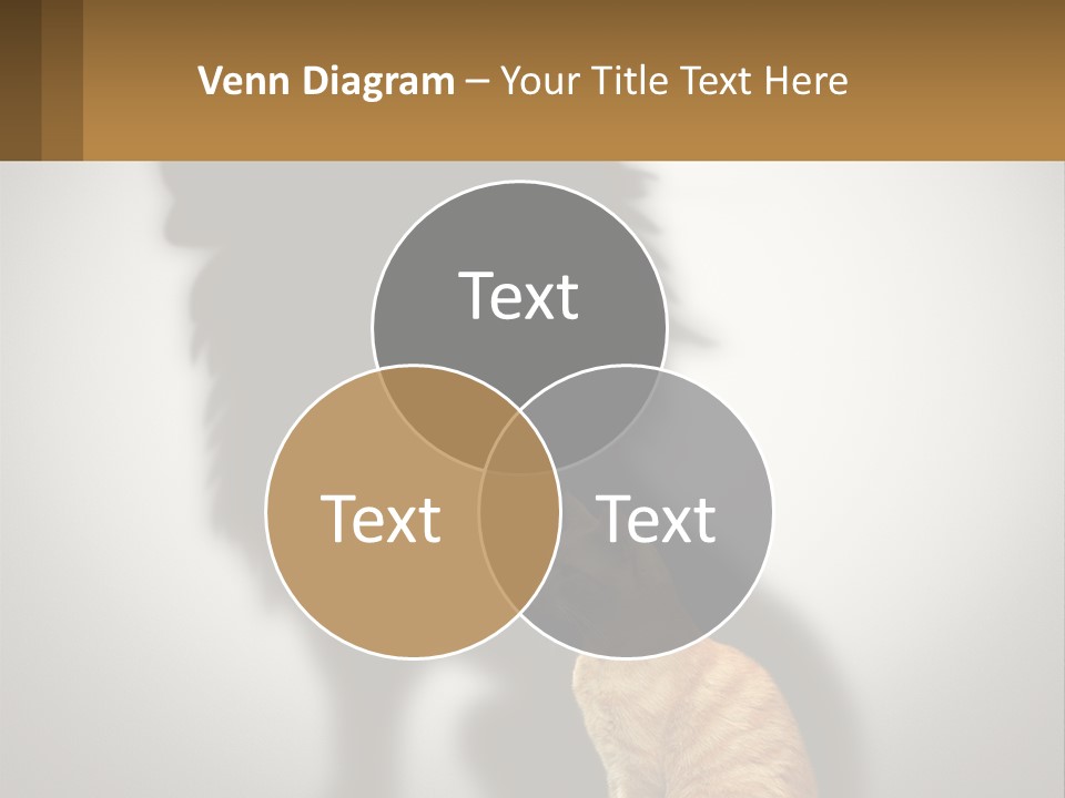 A Cat Sitting In Front Of A Shadow Of A Lion PowerPoint Template