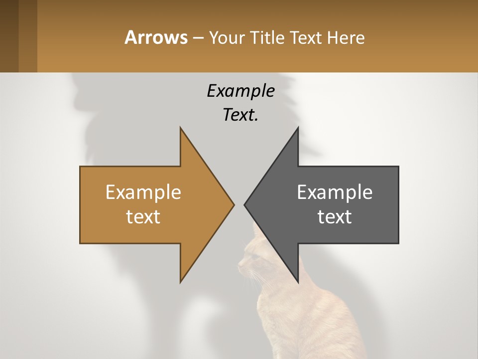 A Cat Sitting In Front Of A Shadow Of A Lion PowerPoint Template