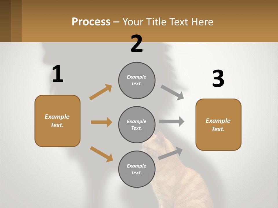 A Cat Sitting In Front Of A Shadow Of A Lion PowerPoint Template