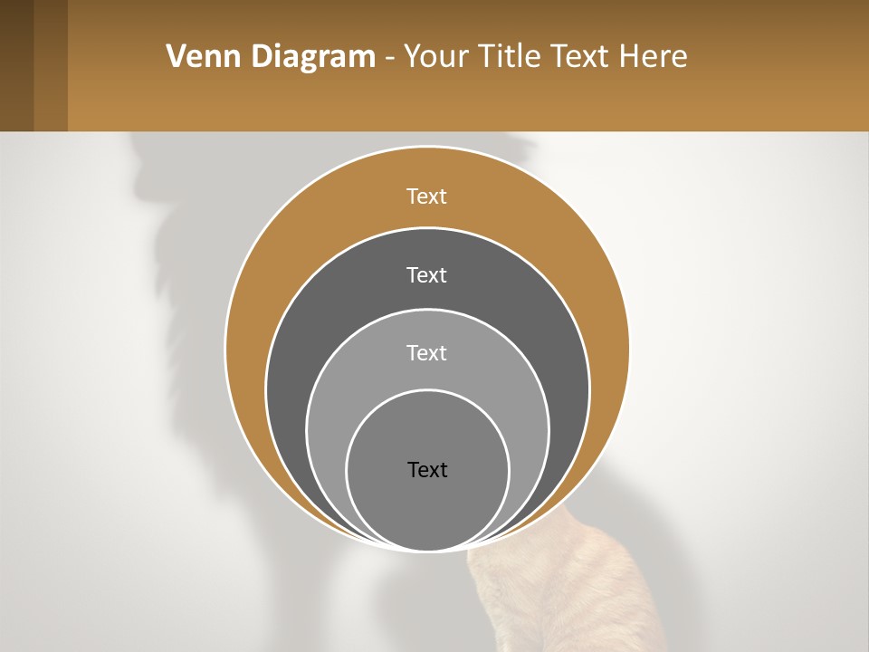 A Cat Sitting In Front Of A Shadow Of A Lion PowerPoint Template